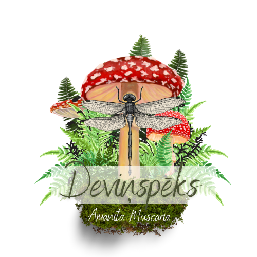 Devinspeks_Logo.png